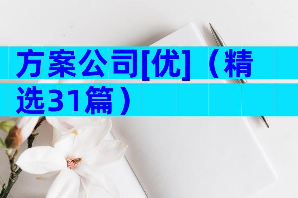 方案公司[优]（精选31篇）